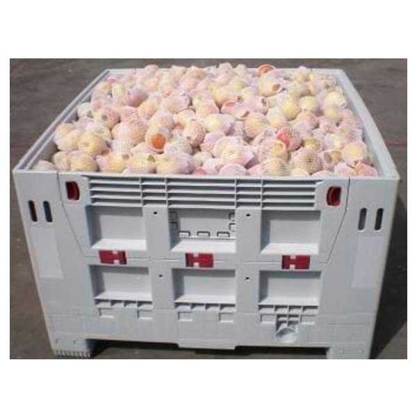 Folding Solid Pallet Box (IBC) BPB-K1165S